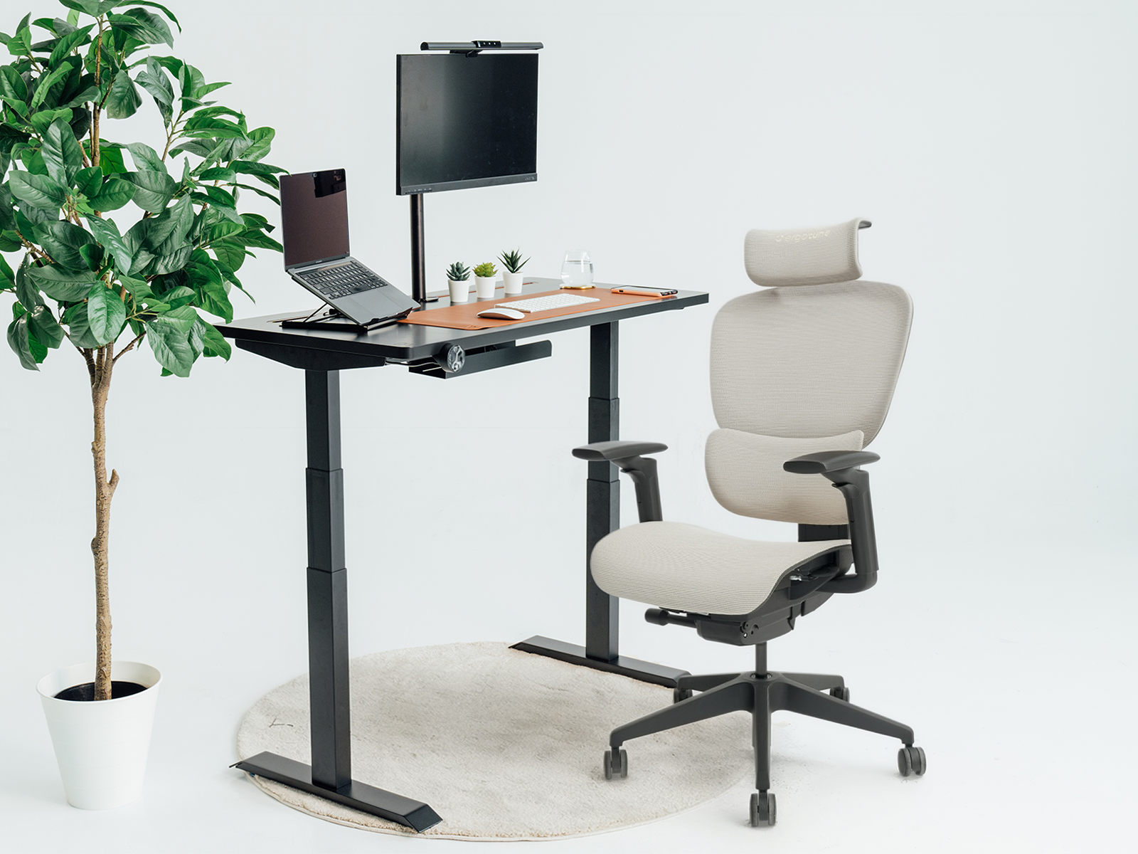 Joobie (Footrest) & Max Bundle