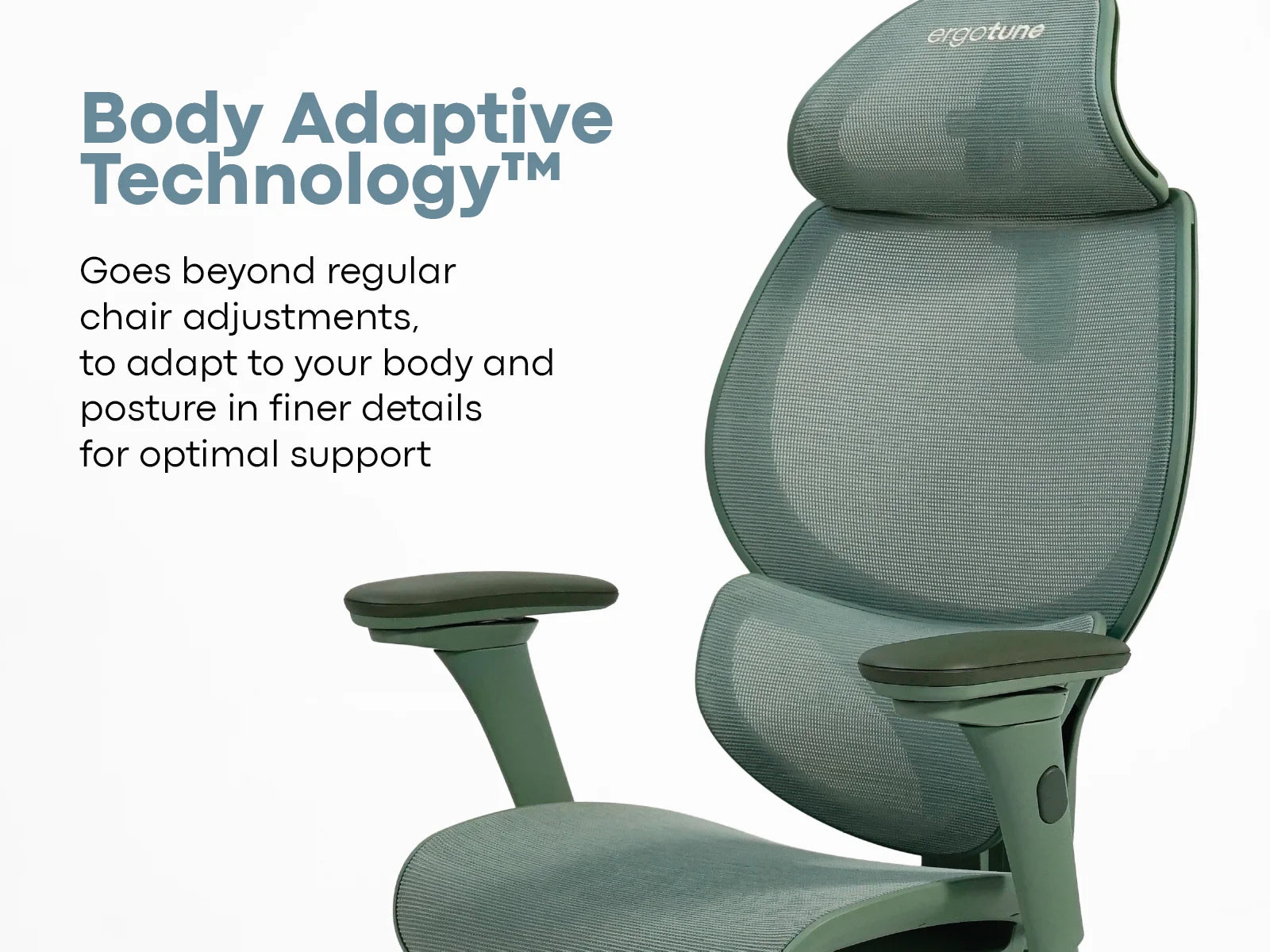 #color_celadon green