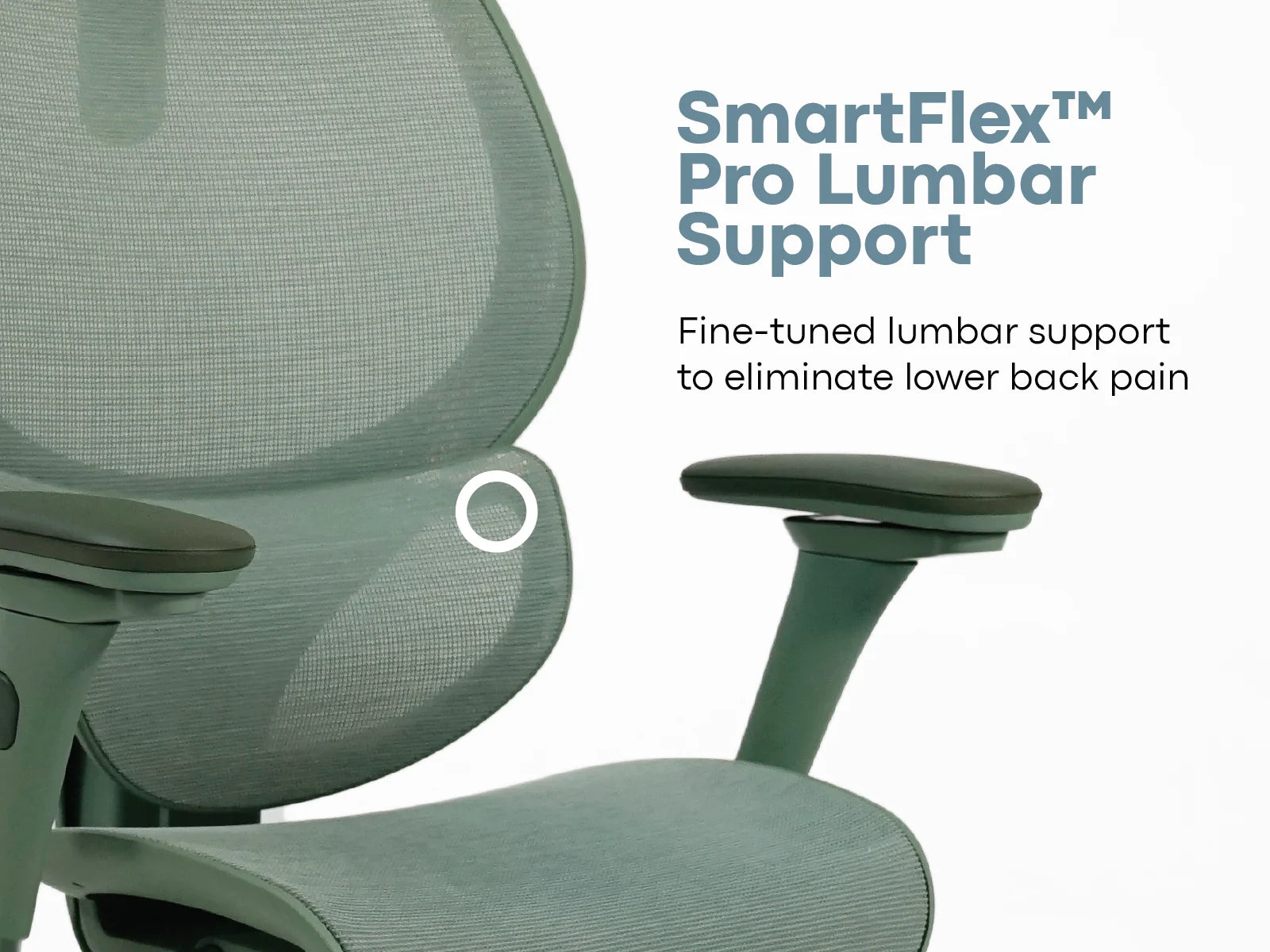 #color_celadon green