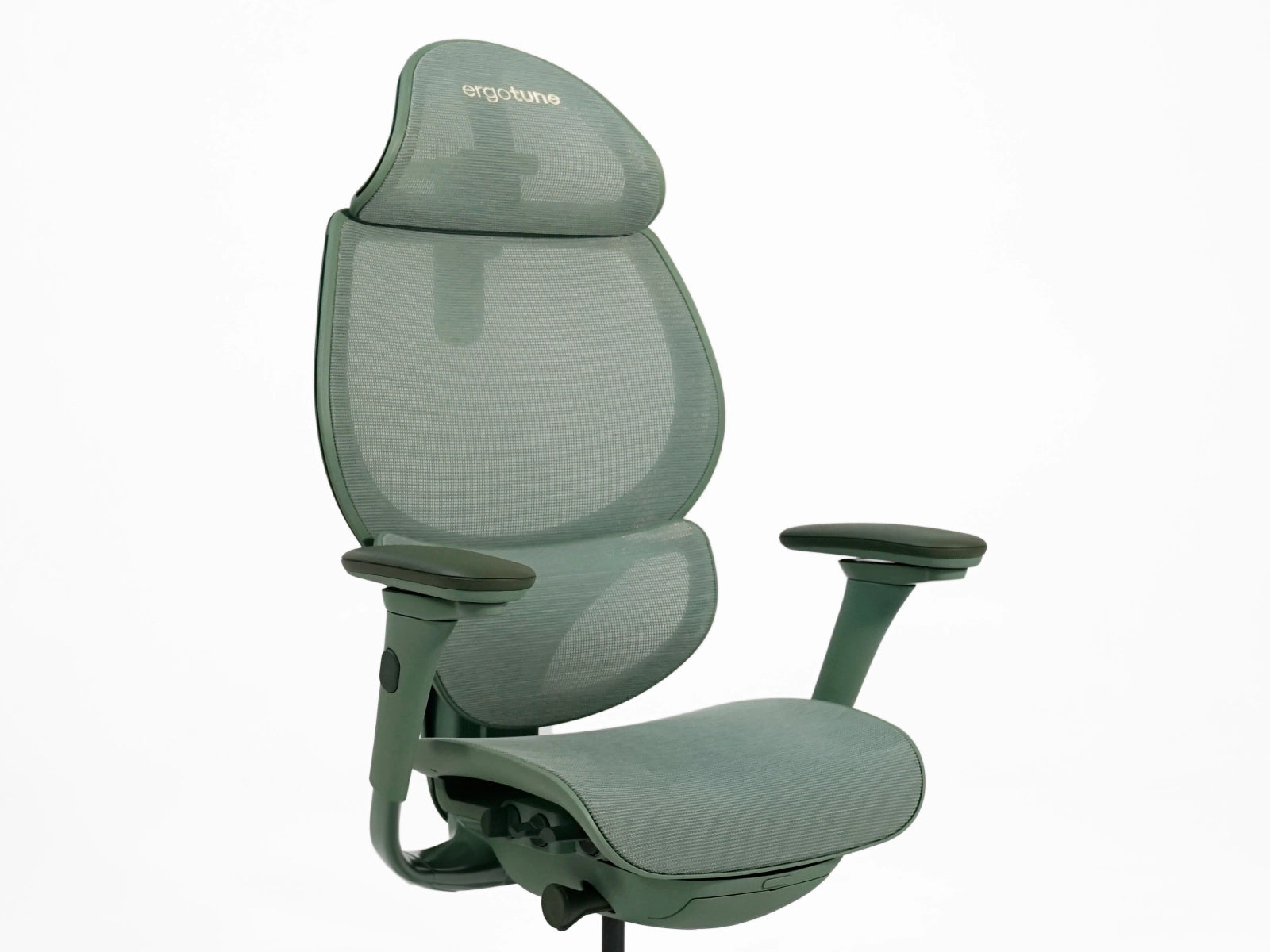 #color_celadon green