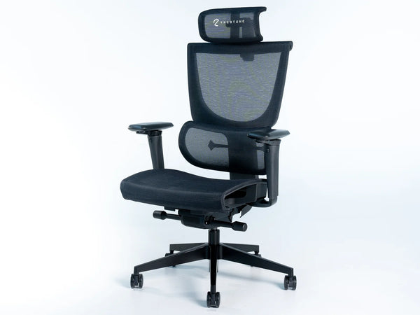 ErgoTune Supreme Best Ergonomic Office Chair Singapore